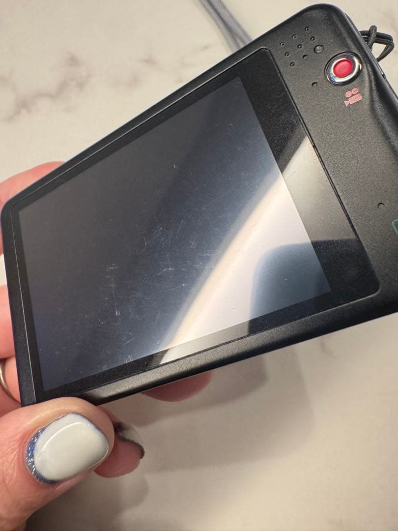 【動作確認済み】Panasonic LUMIX DMC-FX80 デジタルカメラ