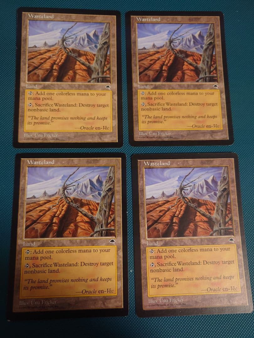 迅*寧様 不毛の大地　Wasteland　４枚セット