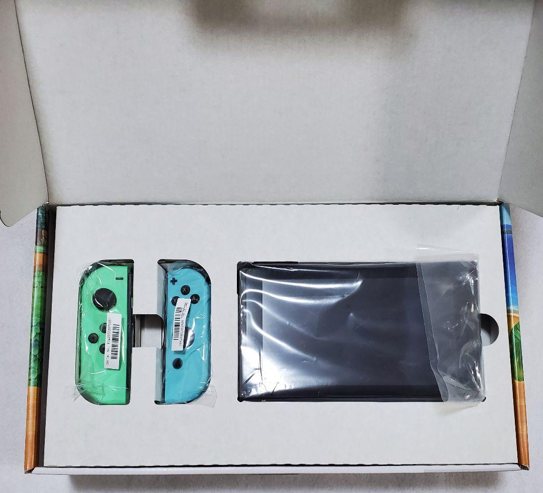 あつまれ どうぶつの森セット Nintendo Switch　ケース付き