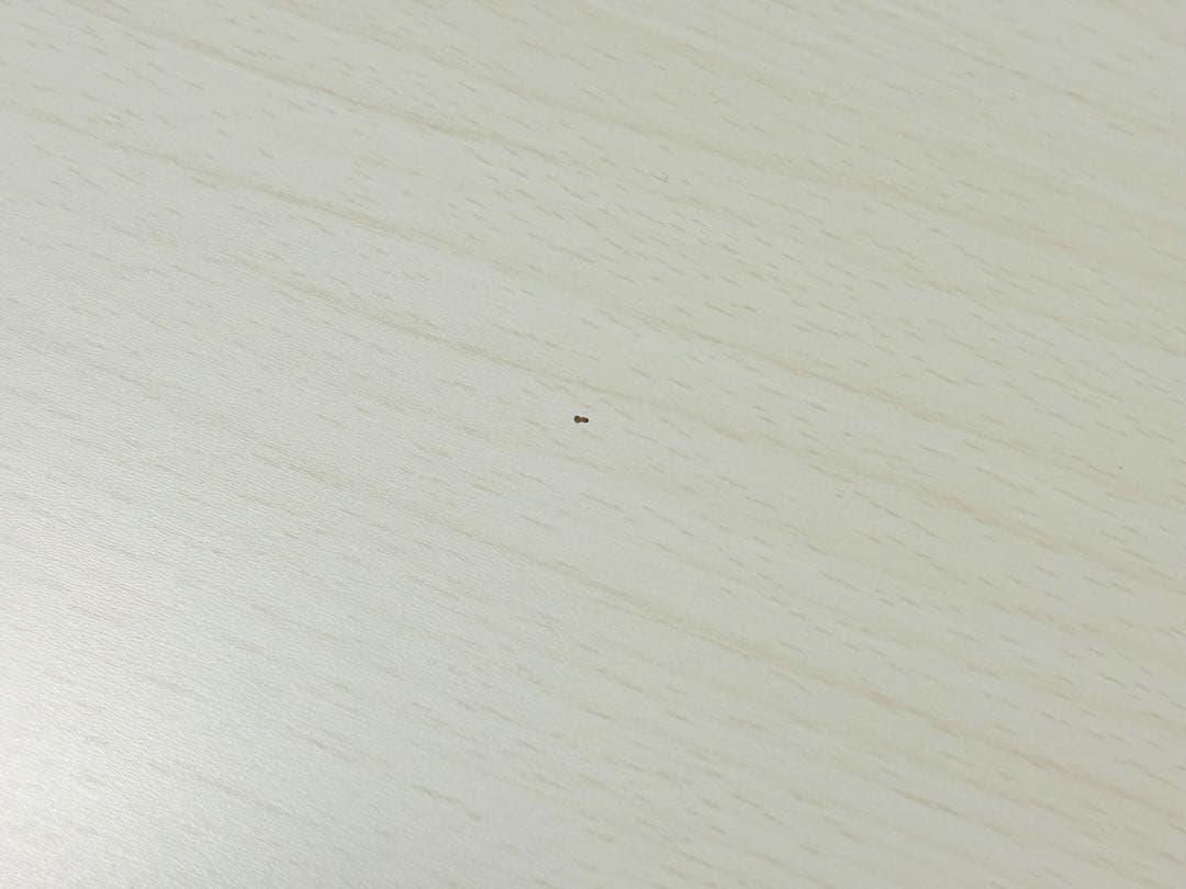 【ニトリ】楕円形リビングこたつテーブル