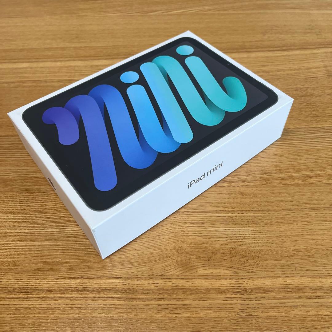 【数回使用】iPad mini (A17) Wi-Fi 128GB