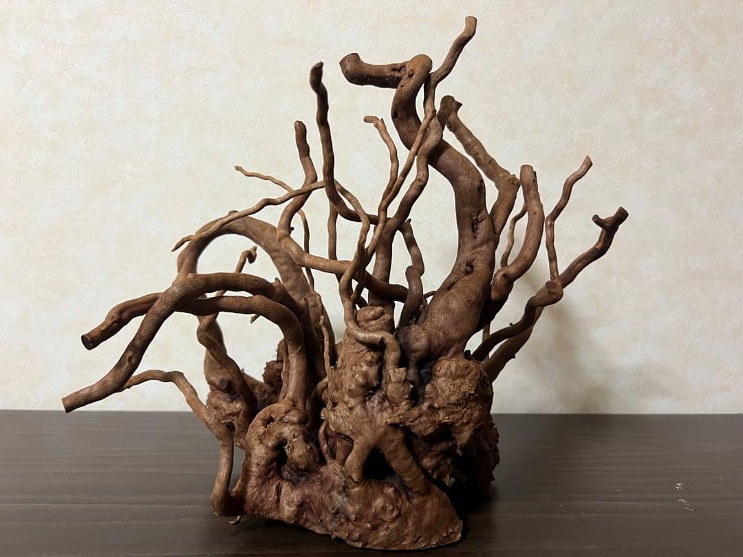 10936 ブランチウッド　流木　アクアリウム　沈水確認済