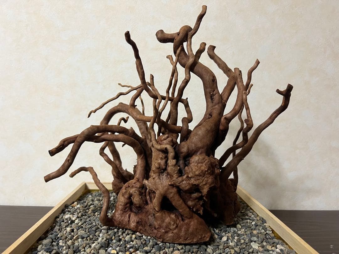 10936 ブランチウッド　流木　アクアリウム　沈水確認済