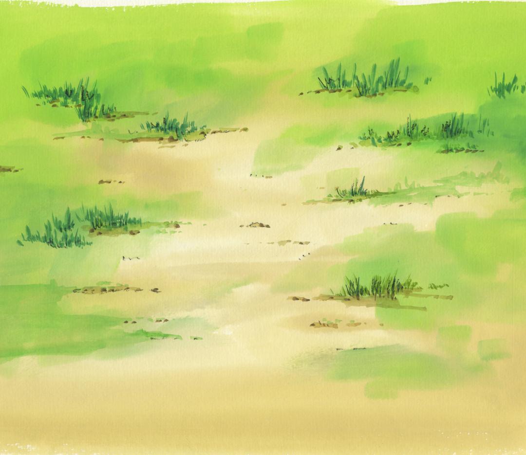 天地無用！魎皇鬼 ＃9 砂沙美 セル画