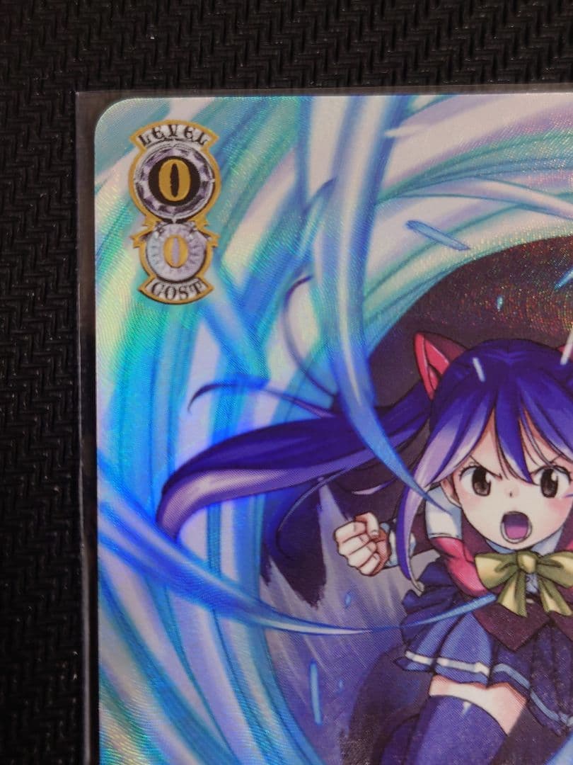 天竜の力 ウェンデ　S120-074SSP　箔押し　ヴァイスシュヴァルツ