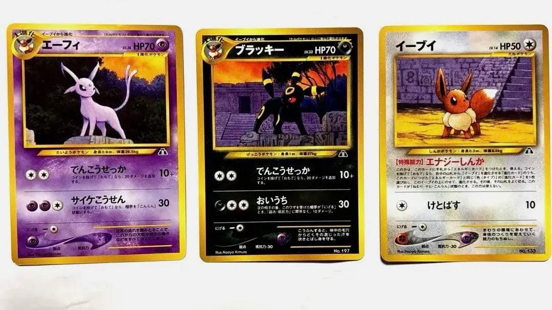 ★【希少】ポケモン　旧裏　プレミアムファイル ブラッキー エーフィー　イーブイ