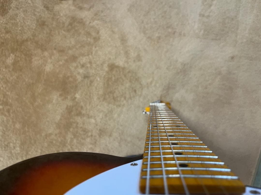 （ダイナマン）ドナー シンライン ホロウボディ bigsbyタイプ