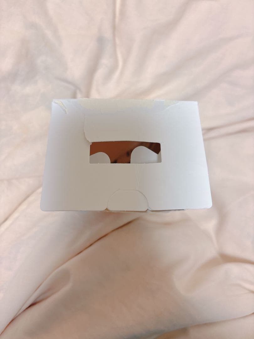 【正規品】 LABUBU ラブブ エナジー シークレット SECRET