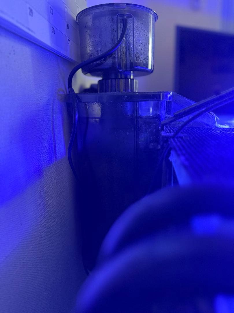 60cm水槽セット　海水