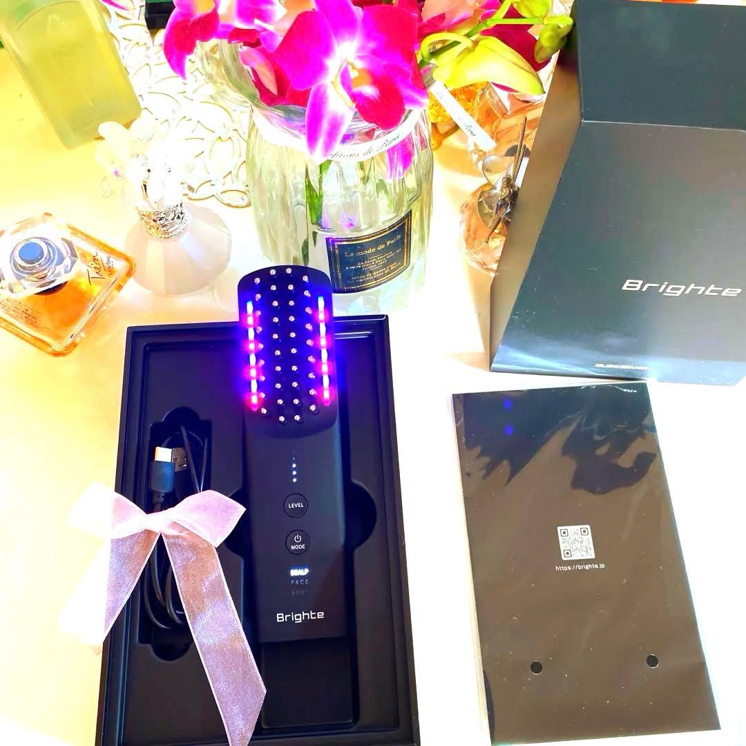 最新版　美品　ブライト　エレキブラシプラス