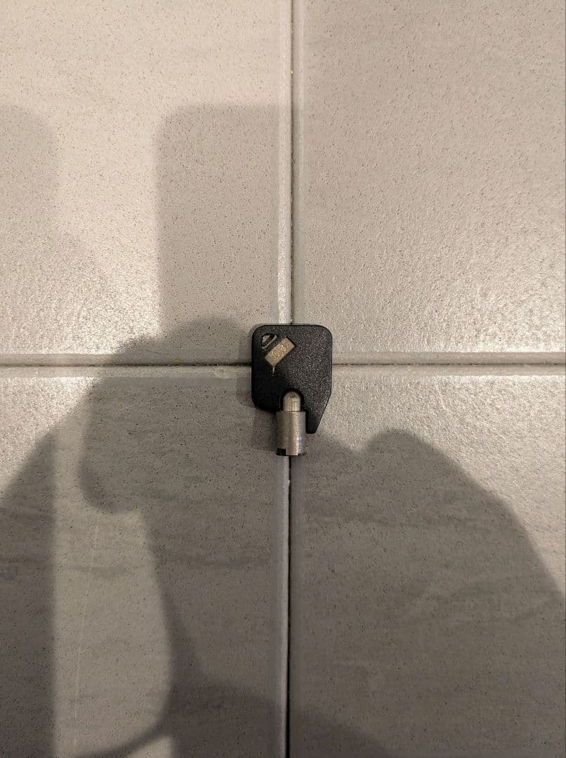 Thule Yepp Mini 前乗せ用 自転車用チャイルドシート ブラック