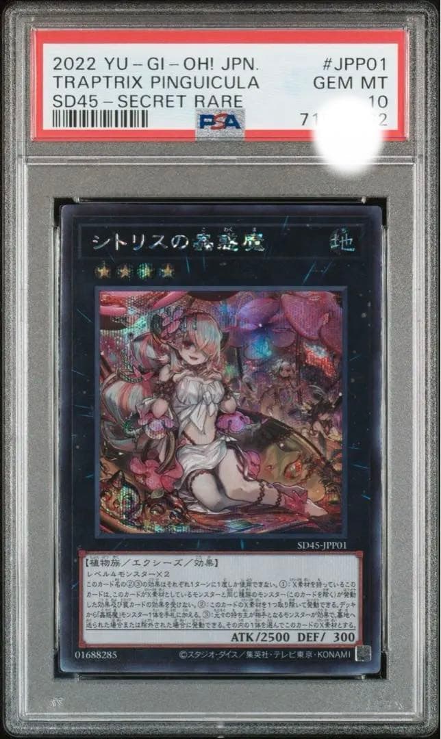 PSA10 遊戯王 シトリスの蟲惑魔