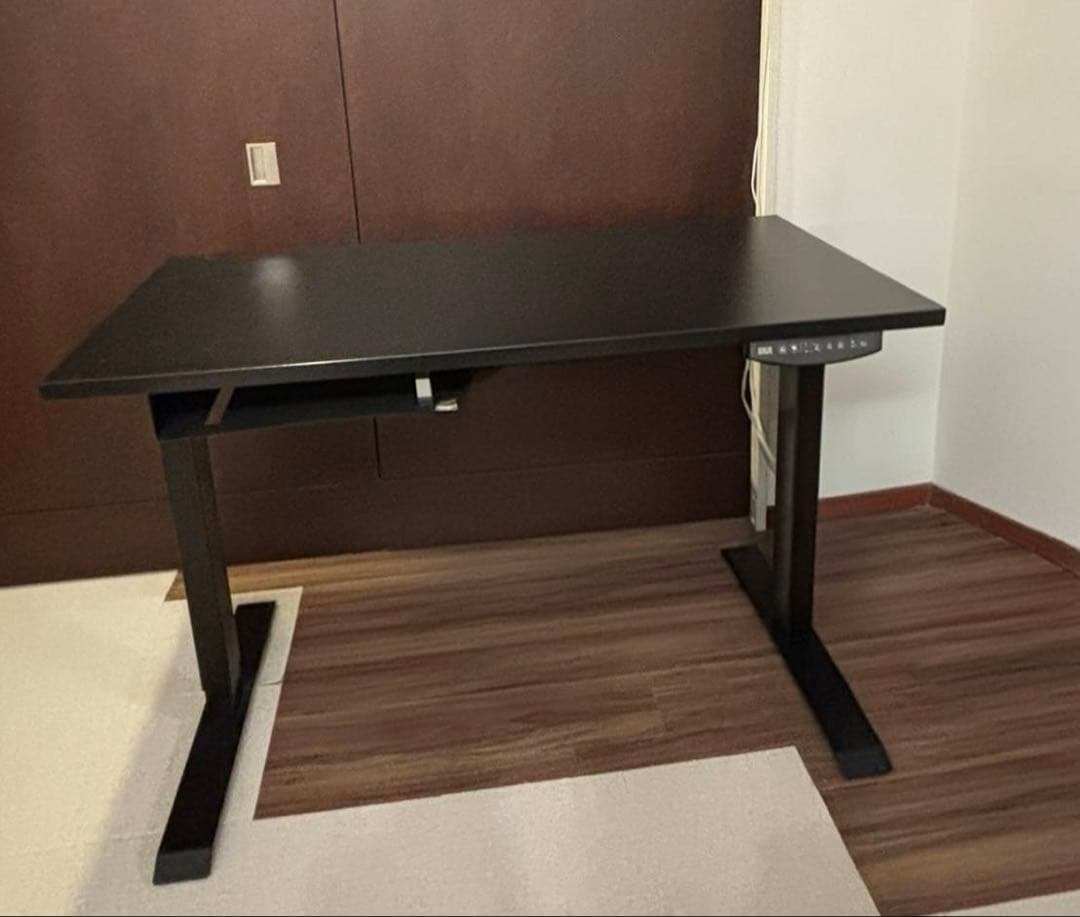 配送先関東限定　FLEXISPOT電動式昇降デスク(120×60cm) ブラック