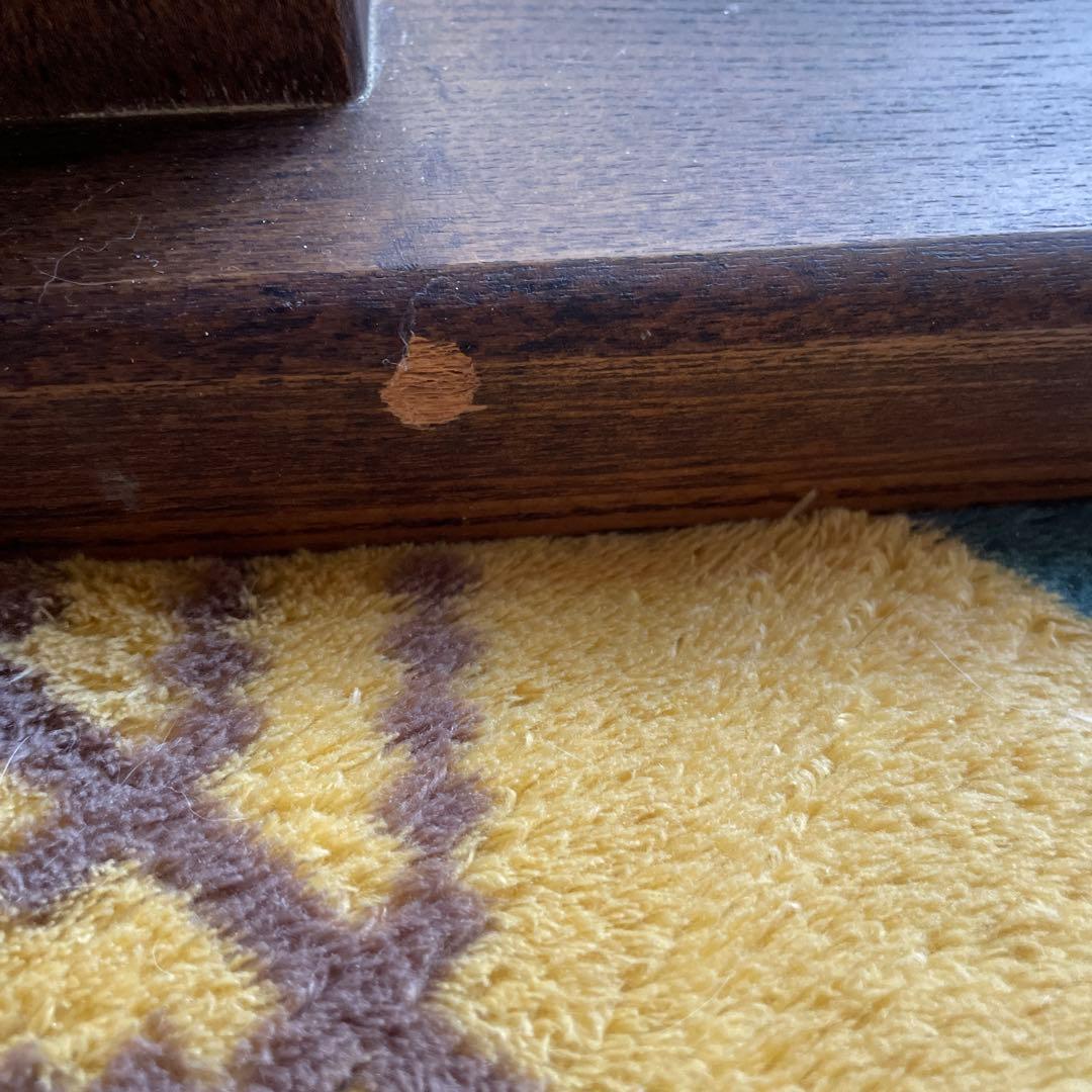 Barringtoniaダイニングテーブルのみ