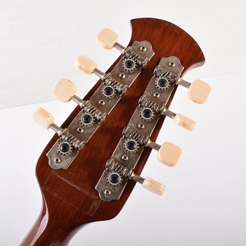 Rio　スズキ　マンドリン　鼈甲製ピック・ハードケース付　V　R7789C