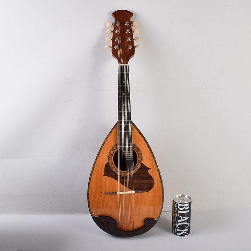 Rio　スズキ　マンドリン　鼈甲製ピック・ハードケース付　V　R7789C