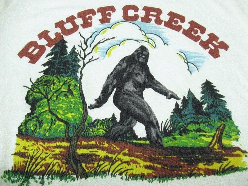 新品 フリーホイーラーズ 50s 半袖 ビッグフット 染み込み Tシャツ 白 M