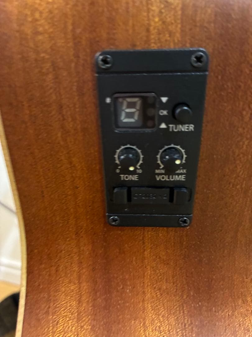 Taylor アコースティックギター(ケース、換えの弦あり)