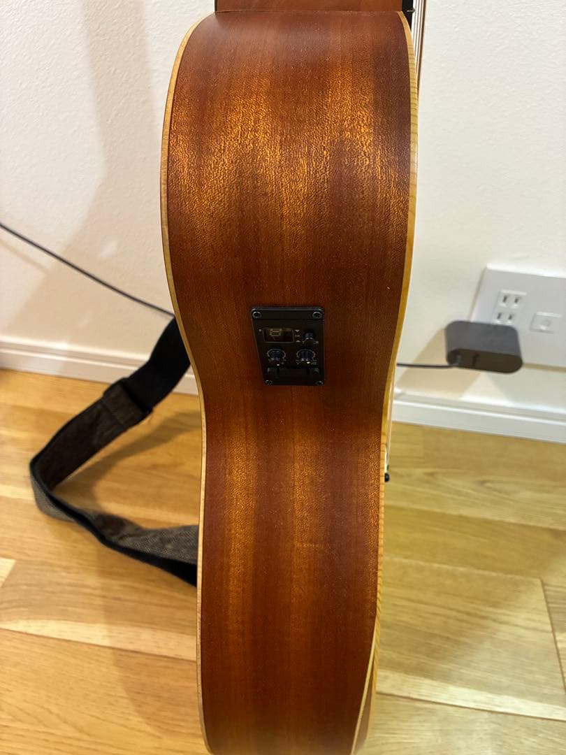 Taylor アコースティックギター(ケース、換えの弦あり)