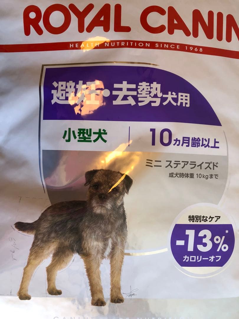 ロイヤルカナン　ミニステアライズド　小型犬　8kg×1袋