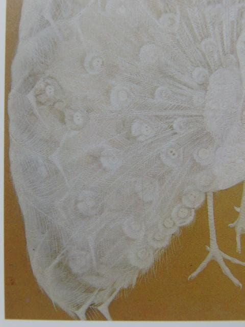 小畠鼎子、【白孔雀】、希少な額装用画集より、新品額装付、状態良好