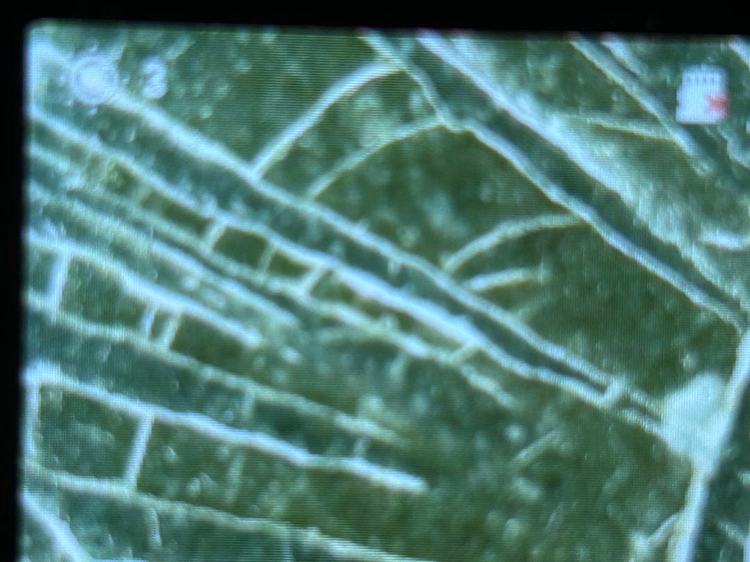 バラ売り可能　50銭銀貨3枚　手変わり品　短銭　竜図裏写り　カラフルトーン　本物