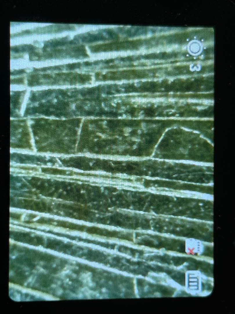 バラ売り可能　50銭銀貨3枚　手変わり品　短銭　竜図裏写り　カラフルトーン　本物