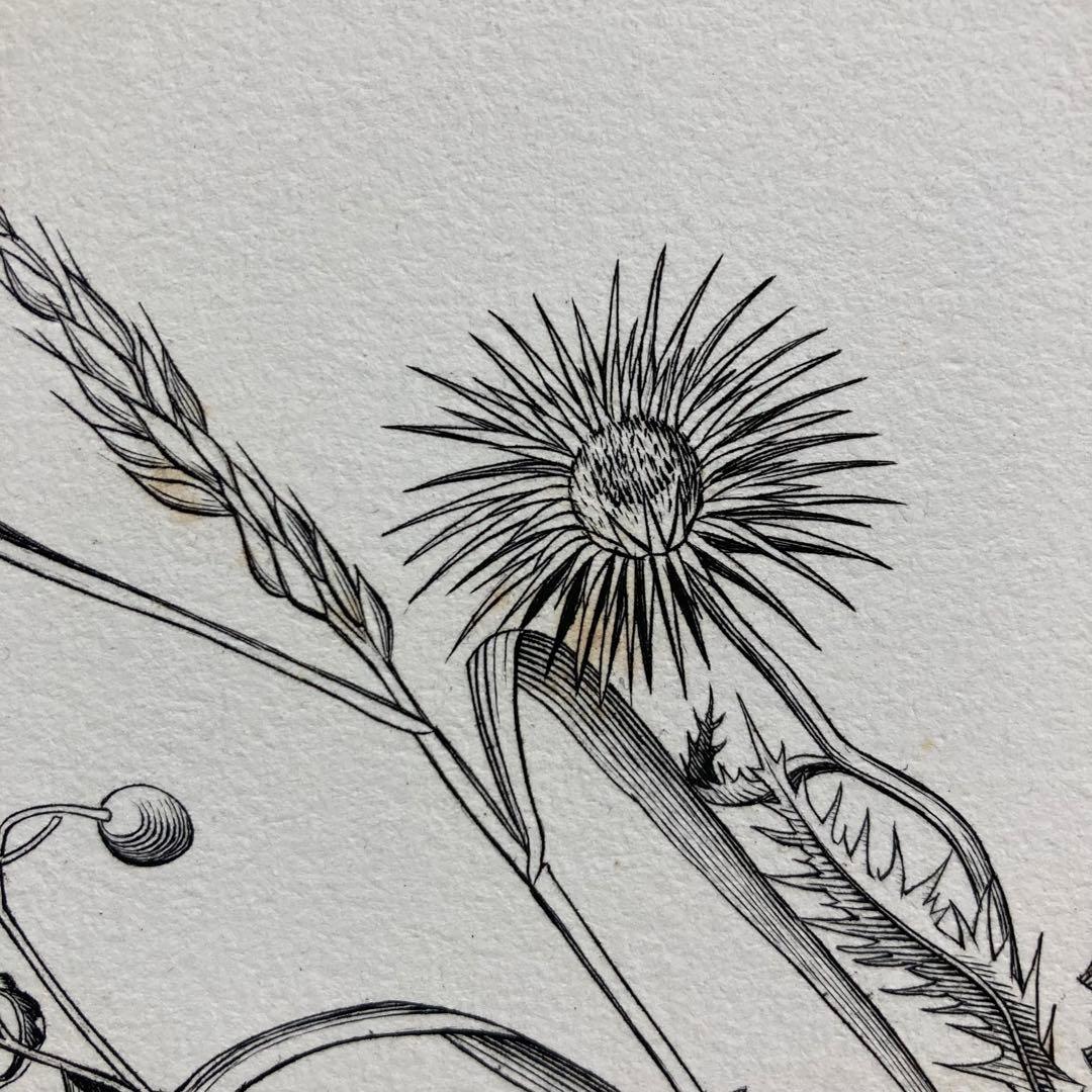 【真作保証】長谷川潔「コップに挿した野花」銅版画 額装 版画 絵画