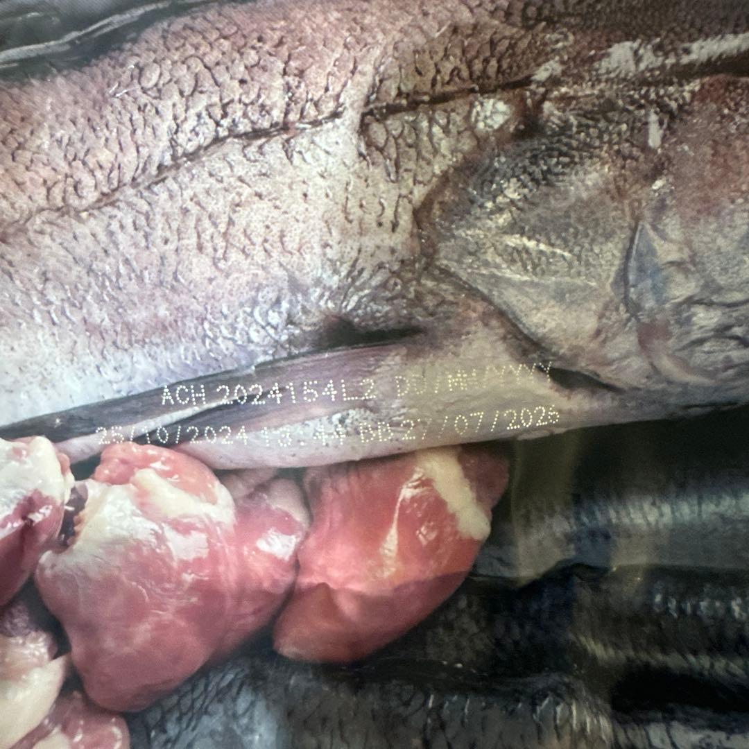 オリジン パピー 6kg