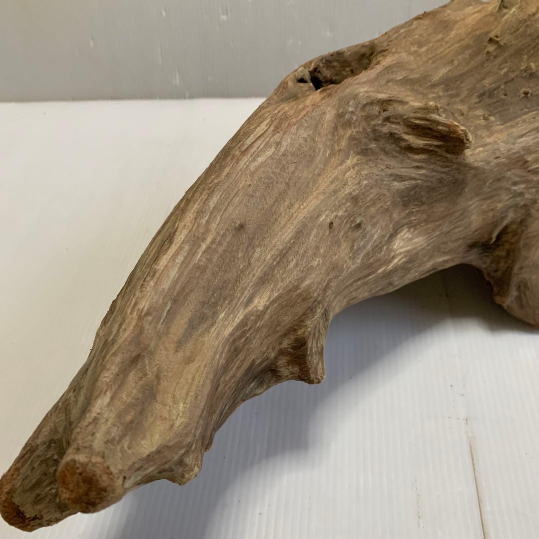 アク抜き済み流木　No.050 .039.031.239.393
