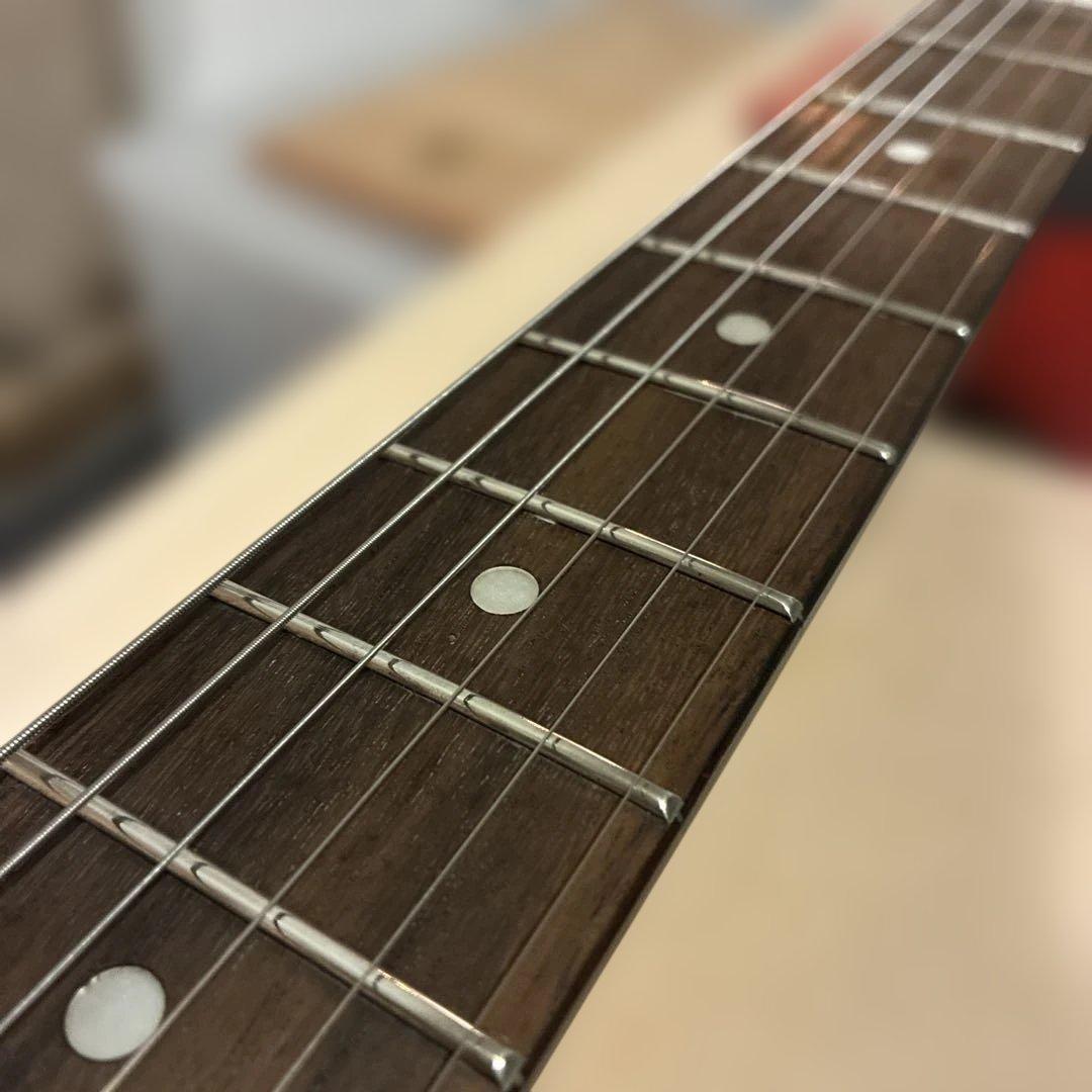 ピグノーズPGG200 青