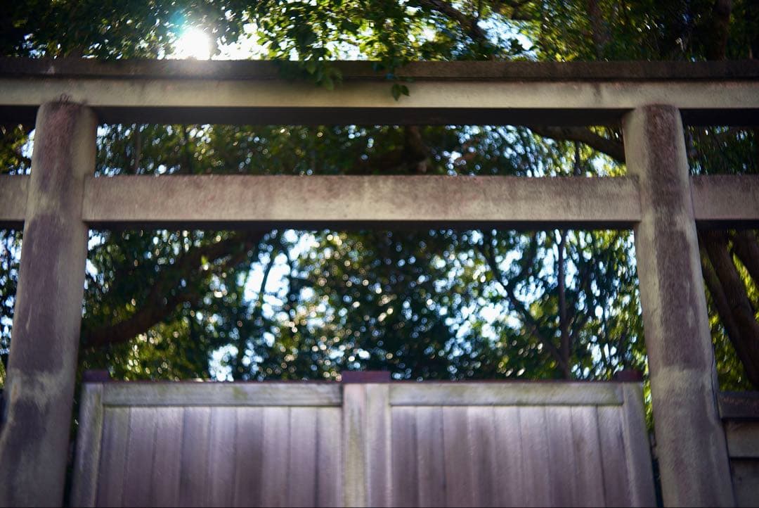 Steinheil Cassar ドイツ製　45mm f/2.8 多彩なボケ⁉️