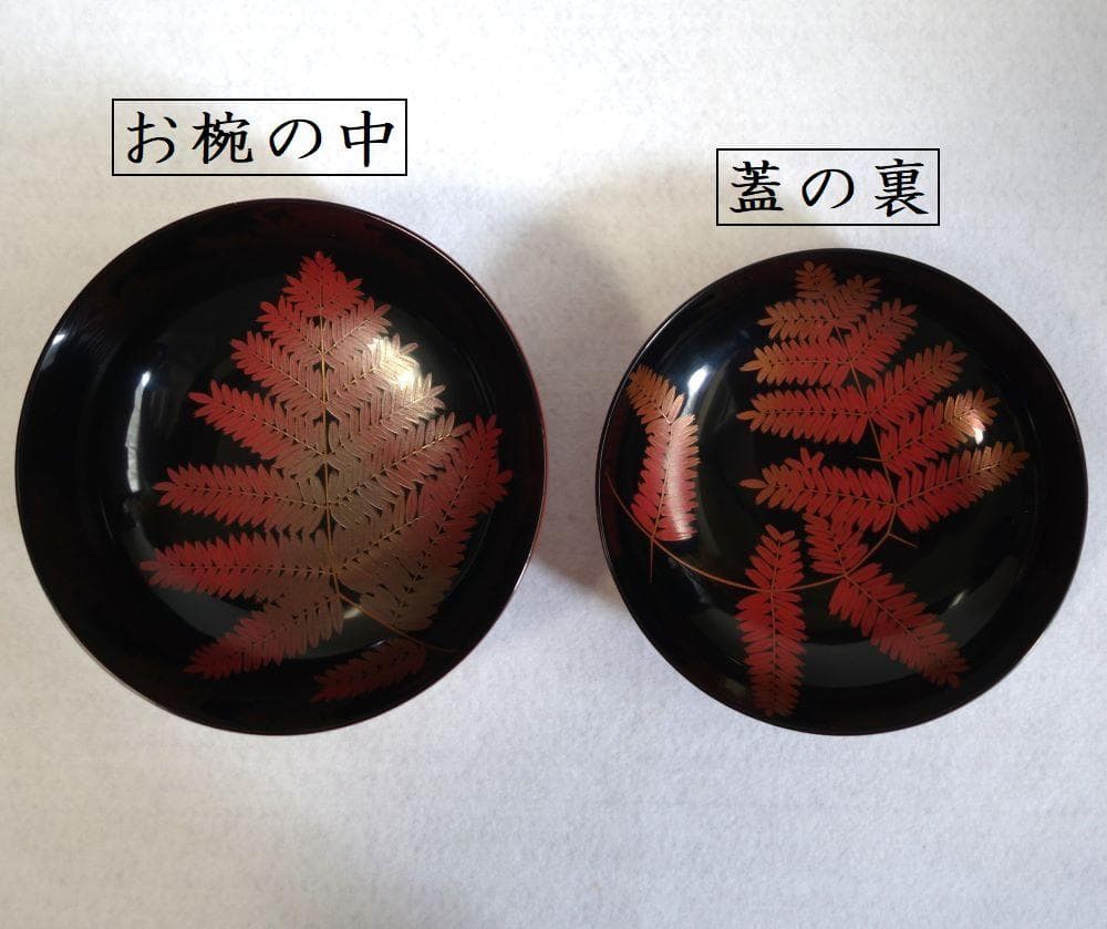 輪島塗 羊歯文様 大振り椀 ５客