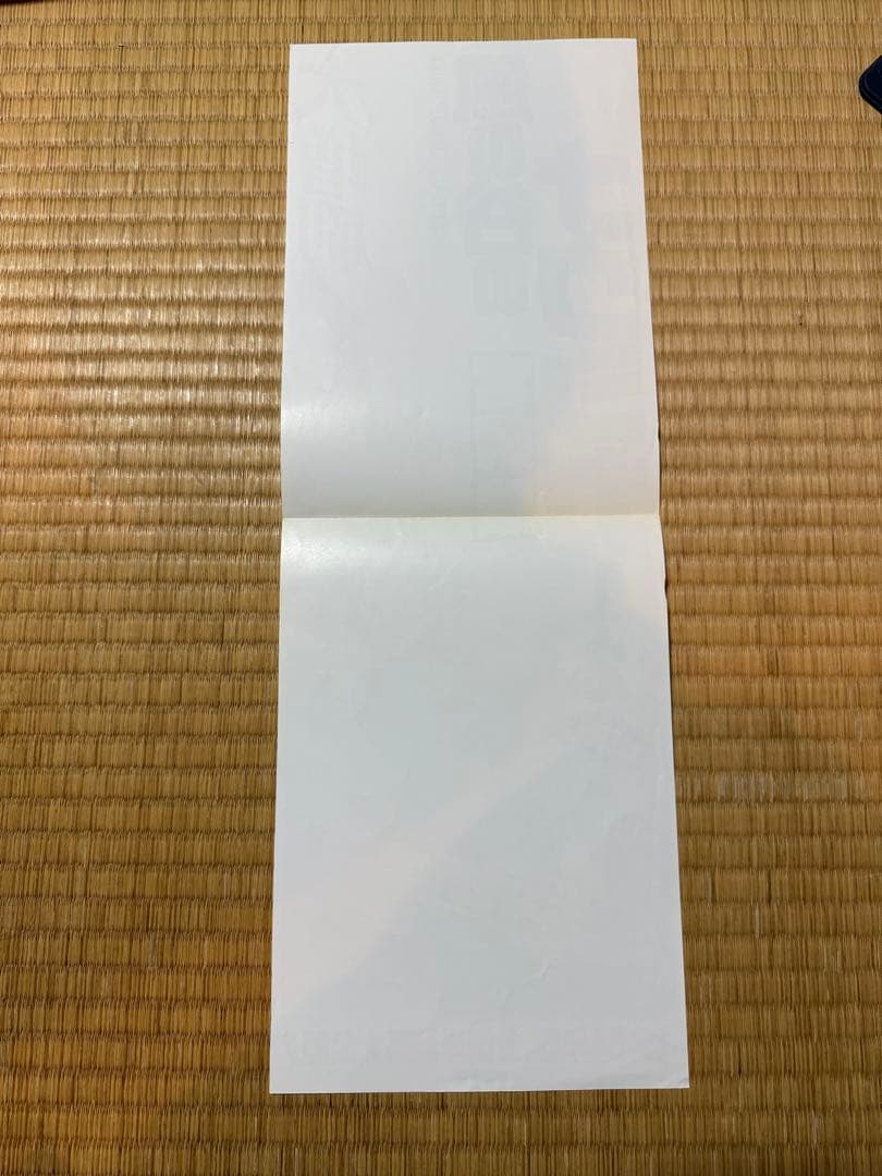 ク*ー様 風の谷のナウシカ　ポスター　販促　店舗