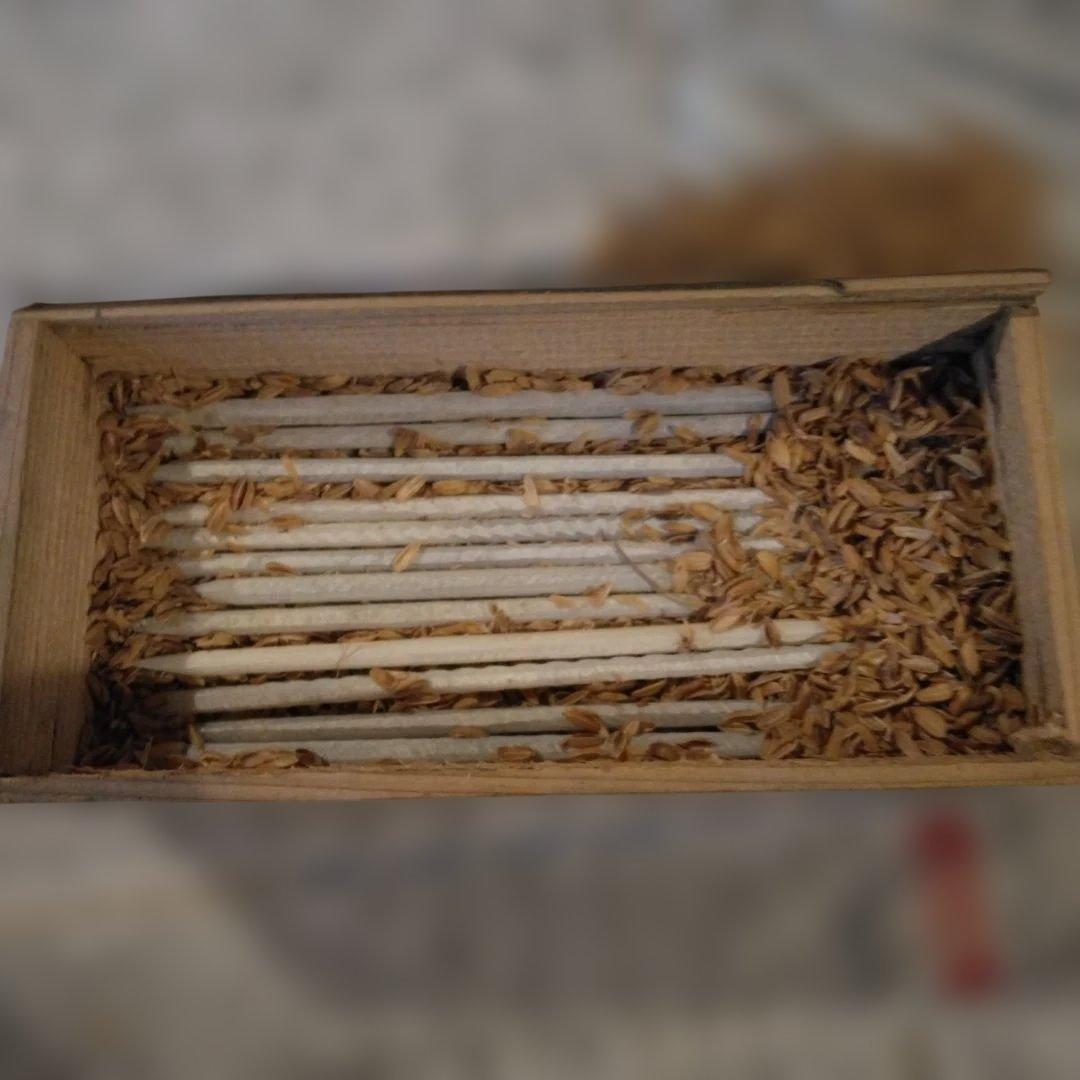 石筆　石板用筆記用具　アンティーク