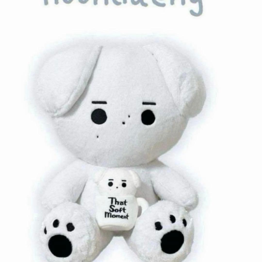 enhpyen ソンフン　ぬいぐるみ　40cm 新品　マスター