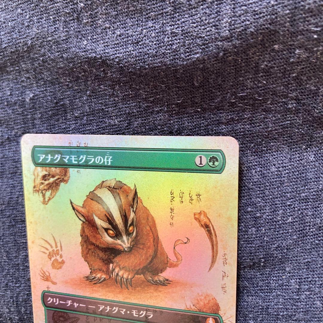 アナグマモグラの仔 日本語　ボーダレス　foil