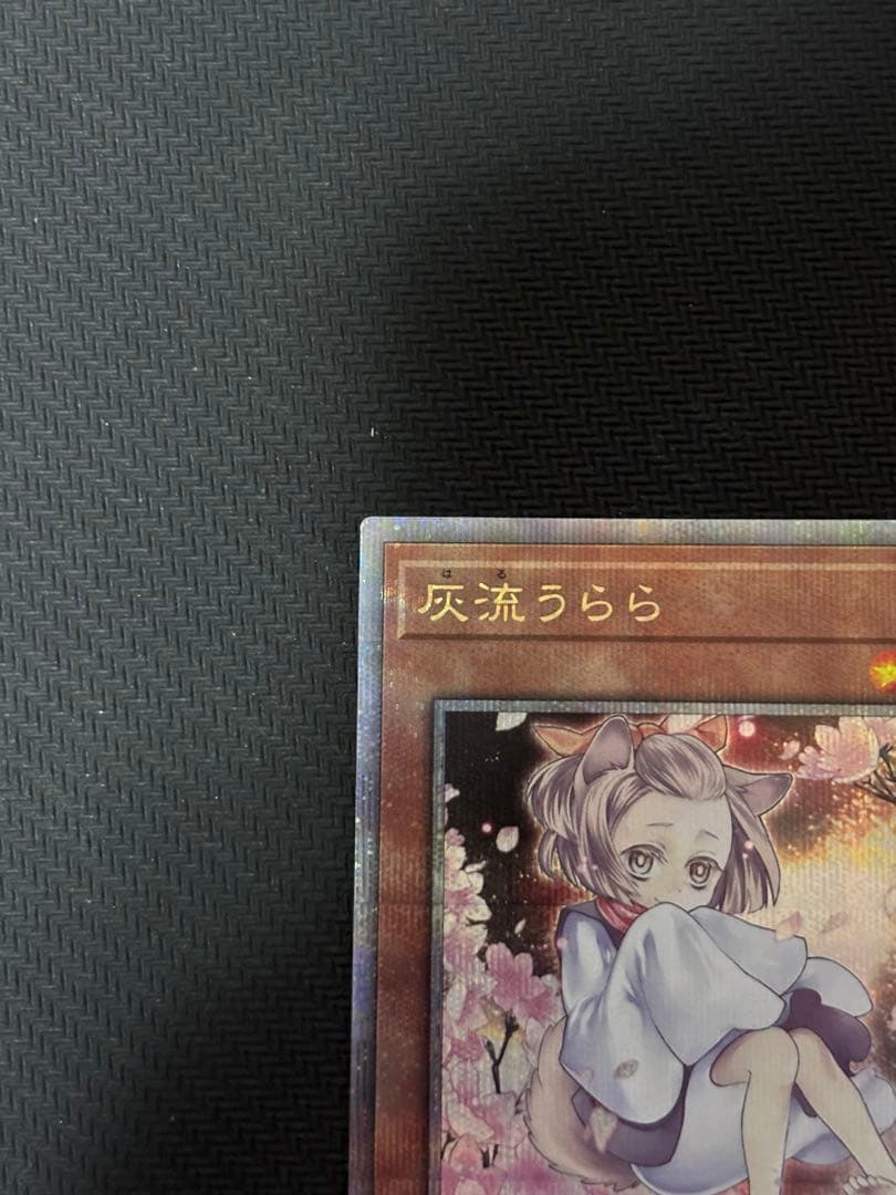 遊戯王　灰流うらら 絵違い 25th クオシク　はるうらら