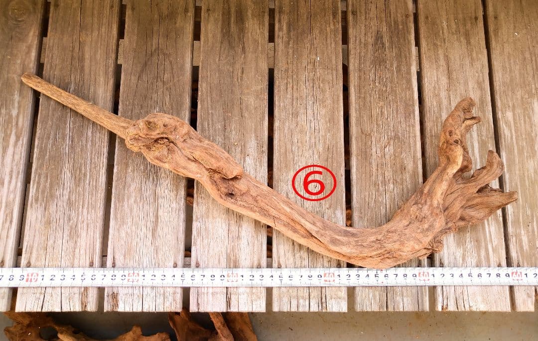 アクアリウム用品　レイアウト 良型 流木 Ｌサイズ　７本セット