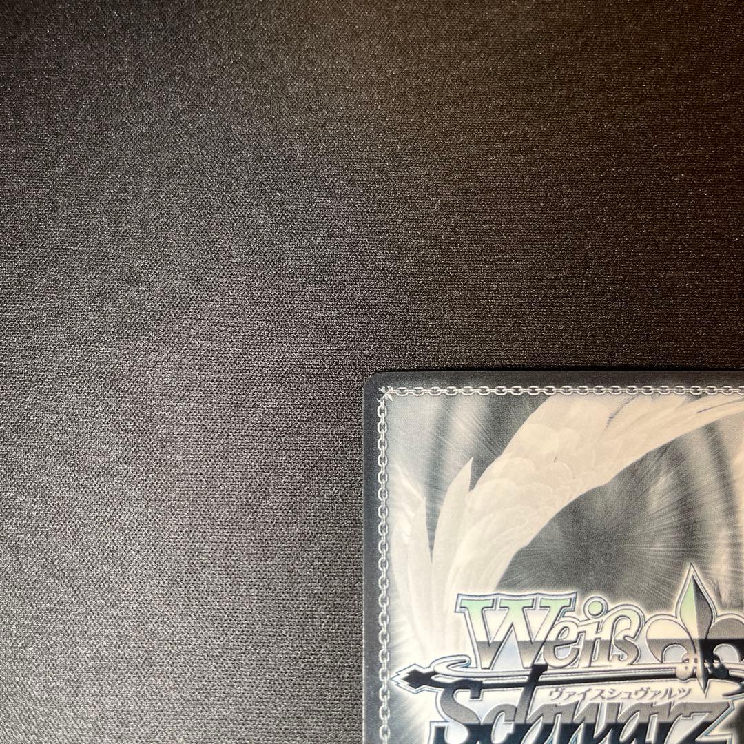 ヴァイス　美品　ライオンの心　レオナ