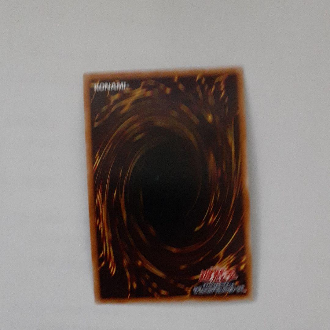 遊戯王 のどかな埋葬