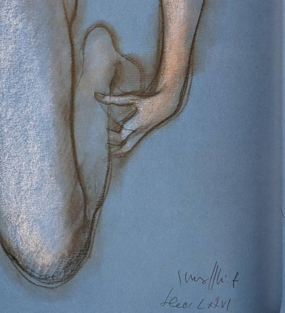 古沢岩美、厳選、大判、希少画集・額装画、限定800部、人気作品