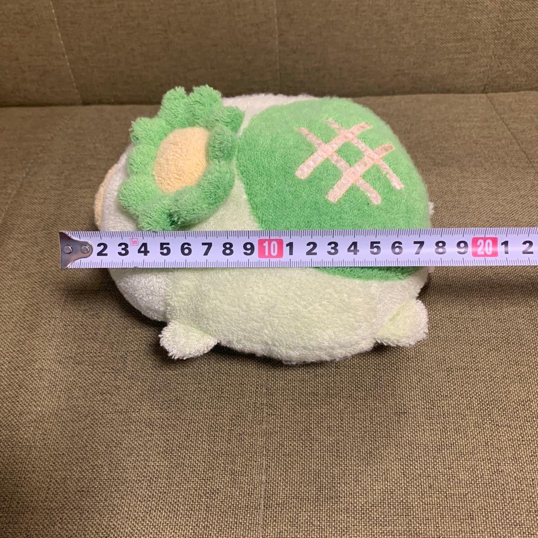 希少品　レア　ましゅまろせらぴ　フリッカ　fricca カッパ　もちもちシリーズ