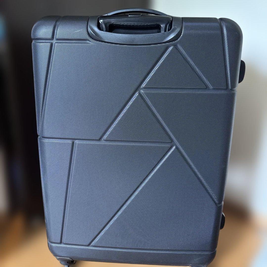 カメレオン　幾何学模様 ブラック キャリーケース　L