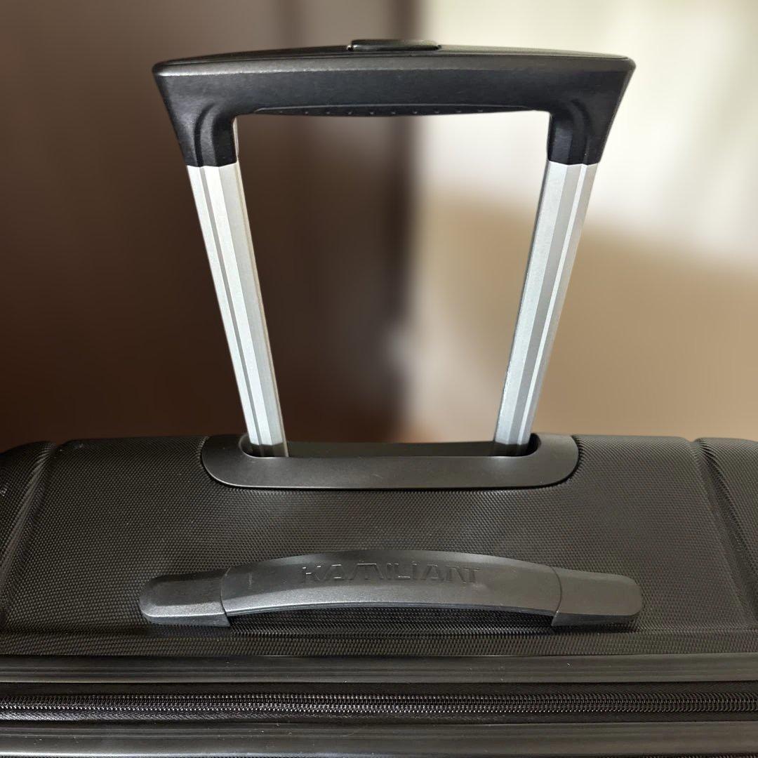 カメレオン　幾何学模様 ブラック キャリーケース　L