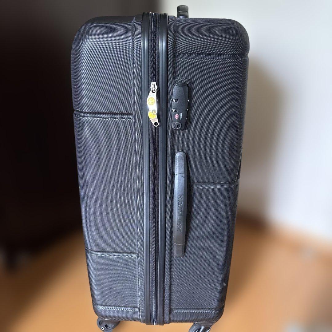 カメレオン　幾何学模様 ブラック キャリーケース　L