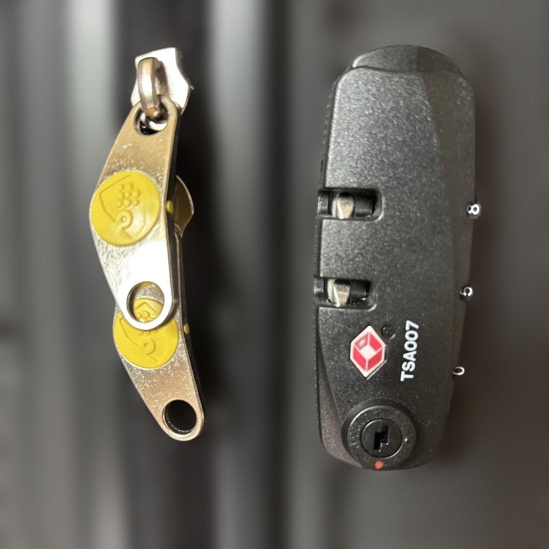 カメレオン　幾何学模様 ブラック キャリーケース　L