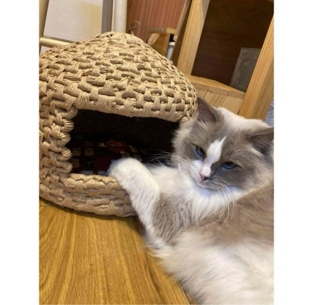 ハンドメイド 猫ちぐら 猫つぐら