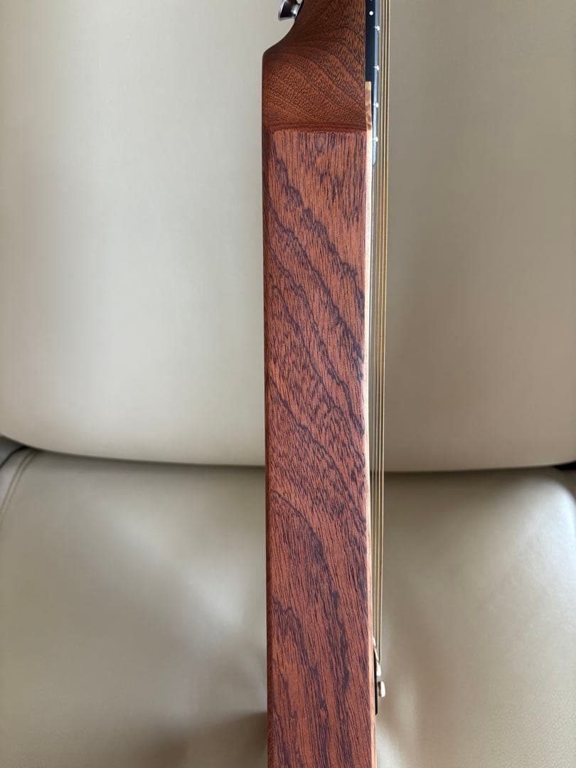 Martin Backpacker ピックアップ付　マーティン