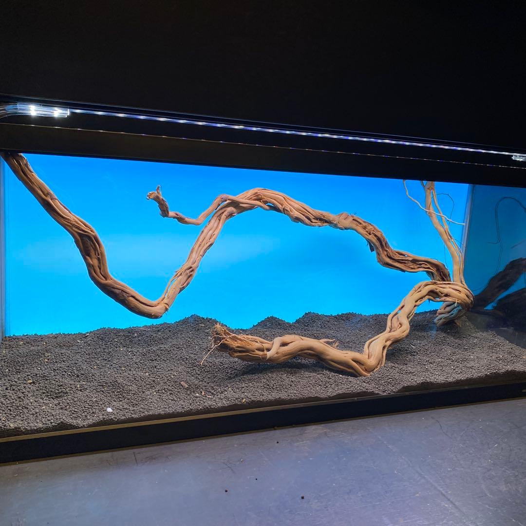 MTW-6751 蔦流木2本セット　90cm水槽用流木　アクアリウム